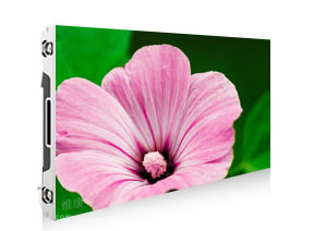 P1.891免费视频黄片