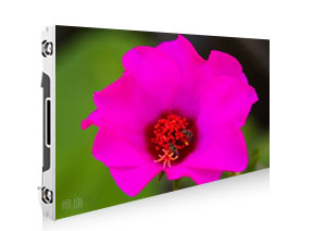 P0.991免费视频黄片