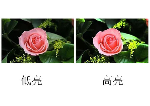 91免费看片下载国际lcd拼接屏多少钱？